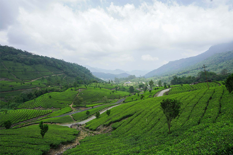 Assam